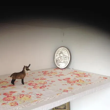 Accommodatie bij particulieren Au Centre La Flèche